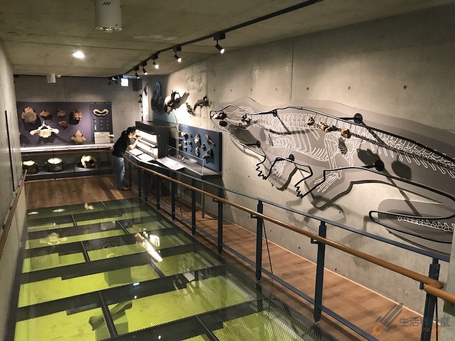 台南親子景點:臺南左鎮化石園區|以恐龍化石為主題的博物館