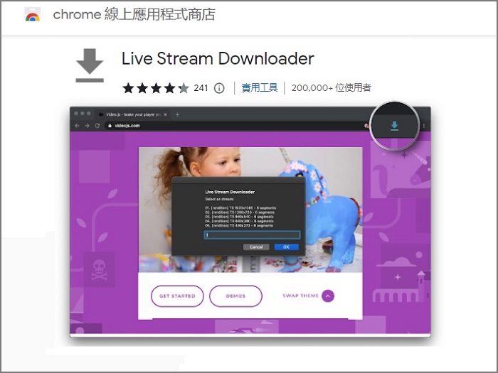 Chrome擴充功能/萬用網頁串流影片下載工具/免安裝/Live Stream Downloader
